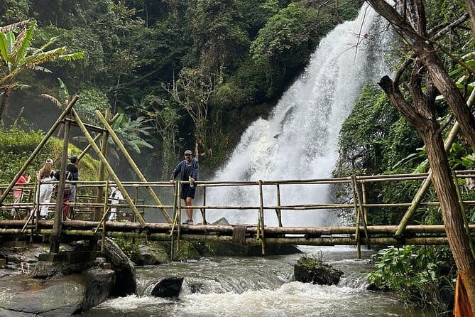 ChiangMai 1DayTour:Elephant Sanctuary,king&queen pagoda,waterfall - Lunch before the park’s mountain stops