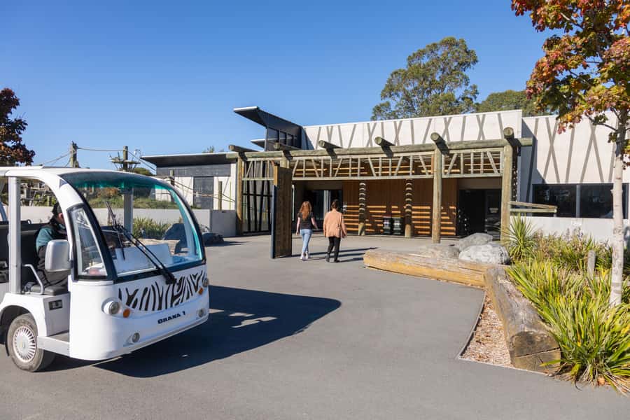 Christchurch: Orana Wildlife Park Admission - See New Zealand’s only gorillas