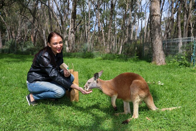 Cleland Wildlife Park Experience - from Adelaide including Mt Lofty Summit - Is the $88.94 price good value?