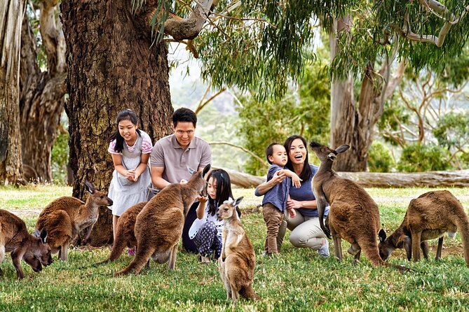 Cleland Wildlife Park Experience - from Adelaide including Mt Lofty Summit - Weather rules and practical limits