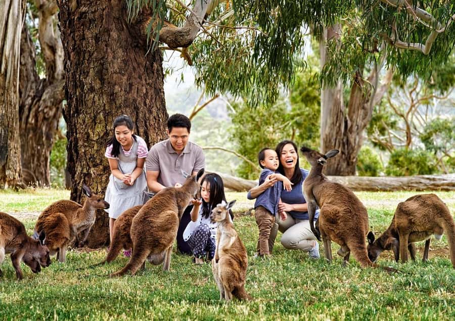 Cleland Wildlife Park Experience with Mount Lofty Summit - Entering Cleland’s 35 hectares of bush