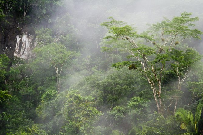 Cockscomb Basin Wildlife Sanctuary and Jaguar Preserve - Who should book this outing