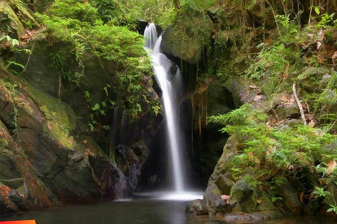 Cockscomb Wildlife Sanctuary - Why Cockscomb Basin makes a strong day trip