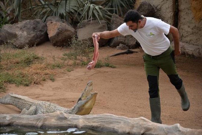 Cocodrilo Park Zoo Admission Ticket in Agüimes - Why Cocodrilo Park is different from a standard zoo