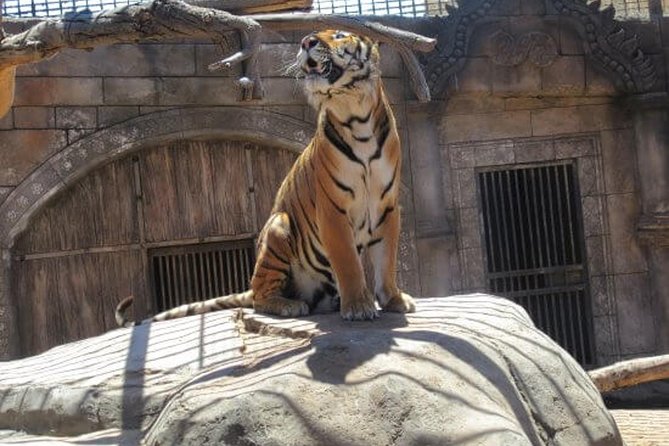 Cocodrilo Park Zoo Admission Ticket in Agüimes - A realistic look at the setting and animal care
