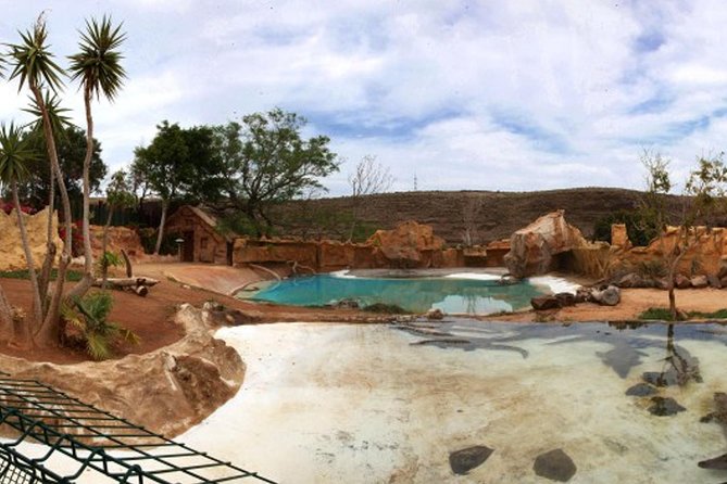 Cocodrilo Park Zoo Admission Ticket in Agüimes - Getting there from Gran Canaria resorts