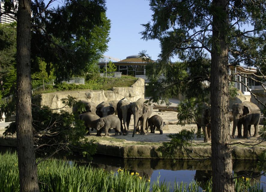 Cologne: Cologne Zoo and Aquarium Entry Ticket - Key things to know before you go