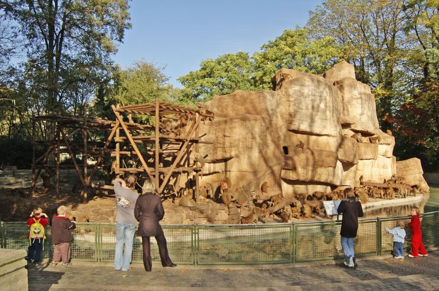 Cologne: Cologne Zoo and Aquarium Entry Ticket - Clemenshof keeps younger children involved