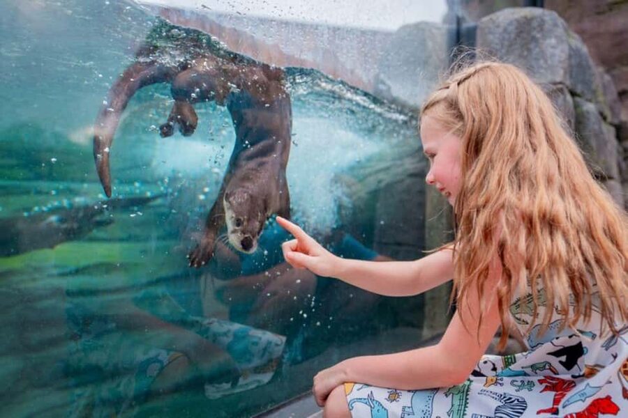 Columbus, OH: Columbus Zoo and Aquarium Entry Ticket - Lions, Tigers, Manatees, and Polar Bears