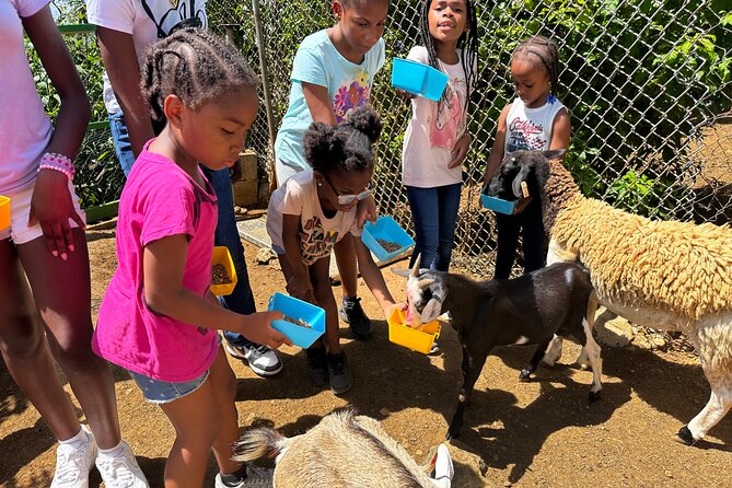 Connors Farms Petting Zoo - Should you book Connors Farms Petting Zoo?