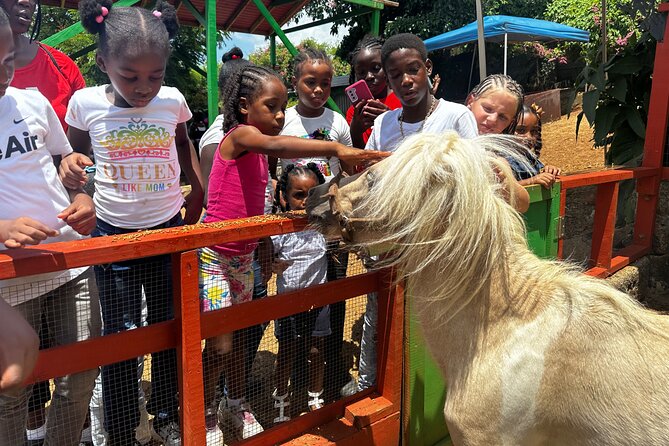 Connors Farms Petting Zoo - Why the private format helps families