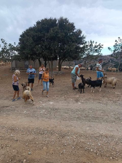 Crete: Milatos Cave Amazonas Zoo Park Jeep Safari Tour - Agios Nikolaos and the final hour