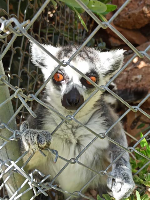 Crete: Milatos Cave Amazonas Zoo Park Jeep Safari Tour - Milatos Cave and the first mountain views
