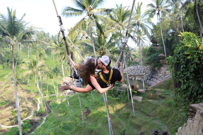 Cretya Ubud and Monkey Forest Sanctuary Tours - One hour among the macaques at Sacred Monkey Forest