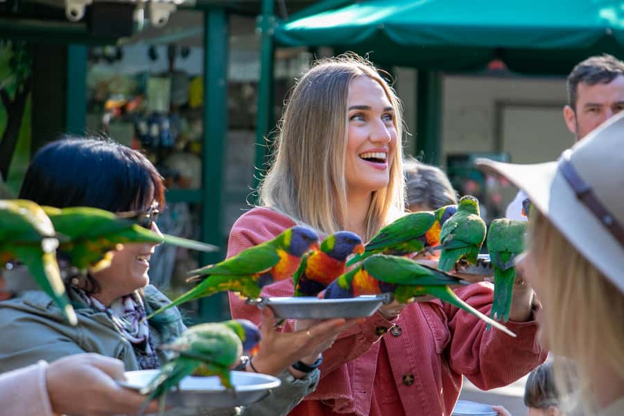 Currumbin Wildlife Sanctuary Entry Ticket - Key points for planning your day
