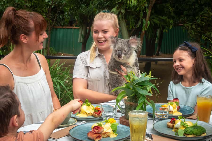 Currumbin Wildlife Sanctuary Entry Ticket - Why Currumbin is more than a quick animal encounter