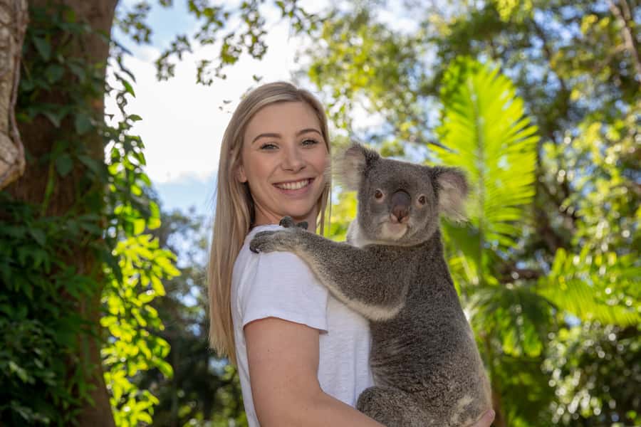Currumbin Wildlife Sanctuary Entry Ticket - Kangaroos, koalas, and Australia’s native animals