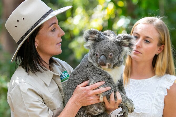 Currumbin Wildlife Sanctuary General Entry Ticket - Lost Valley and the ancient Gondwana theme