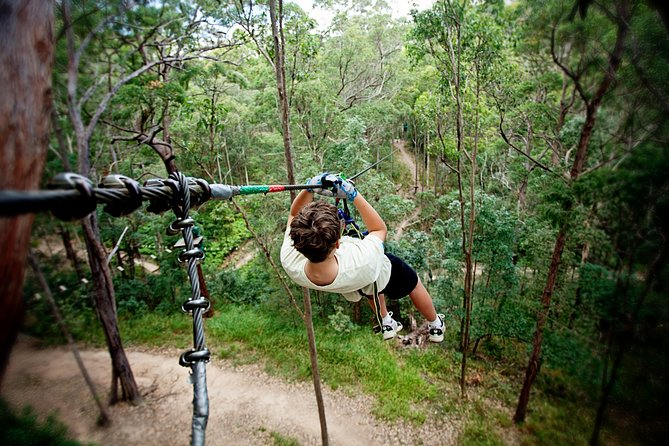 Currumbin Wildlife Sanctuary General Entry Ticket - Is the $50.21 ticket good value?