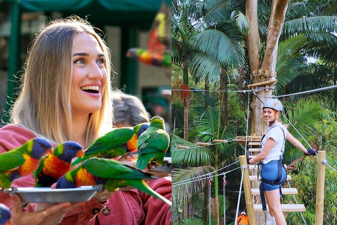 Currumbin Wildlife Sanctuary Pass + The Treetop Challenge - What the 14 ziplines are really like