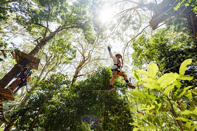 Currumbin Wildlife Sanctuary Pass + The Treetop Challenge - Choose your route with care