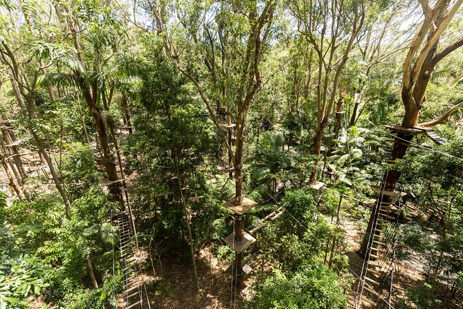 Currumbin Wildlife Sanctuary Pass + The Treetop Challenge - Height and age rules are not minor details