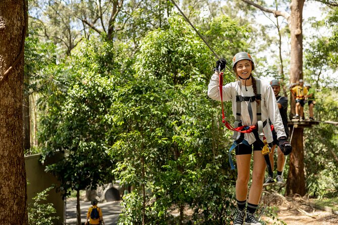 Currumbin Wildlife Sanctuary Pass + The Treetop Challenge - The practical rhythm of an eight-hour visit