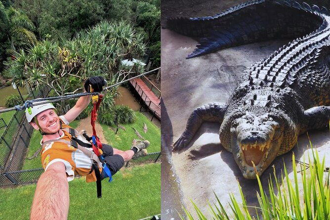 Currumbin Wildlife Sanctuary Pass + The Treetop Challenge - Value for families and active couples