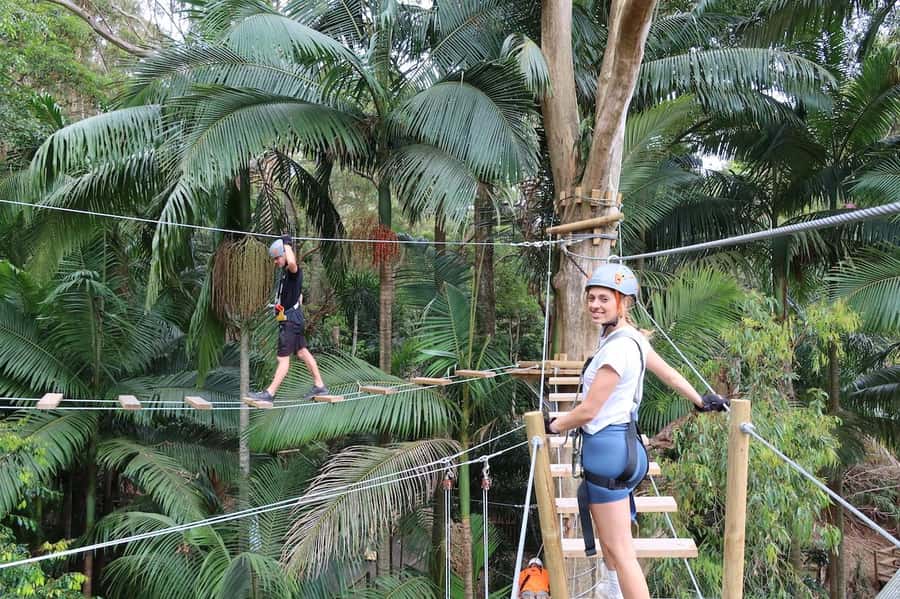 Currumbin Wildlife Sanctuary & TreeTop Challenge Combo - Two Currumbin attractions in one useful ticket