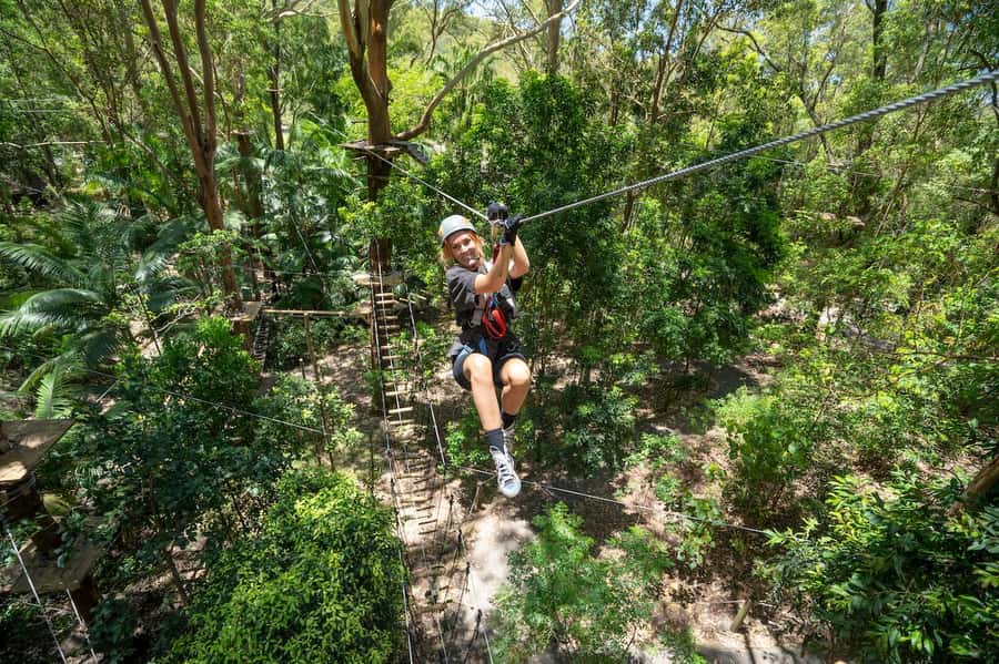 Currumbin Wildlife Sanctuary & TreeTop Challenge Combo - Picking the right difficulty level
