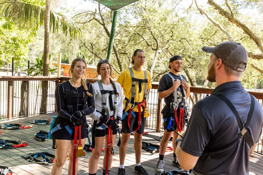 Currumbin Wildlife Sanctuary & TreeTop Challenge Combo - The wildlife side of the day