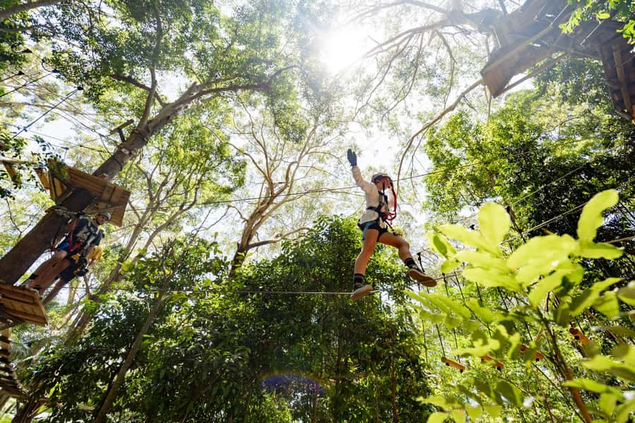 Currumbin Wildlife Sanctuary & TreeTop Challenge Combo - What to bring and what to leave behind