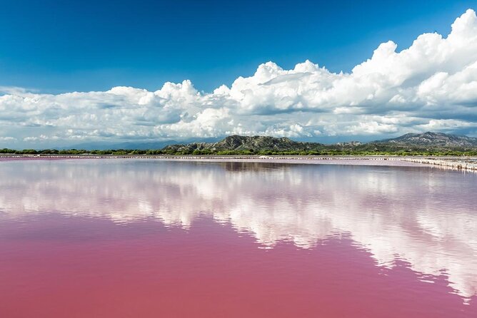 Day Tour Bandia Wildlife Reserve and pink lake - Key points at a glance