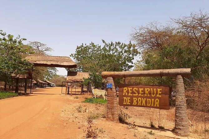 Day Tour Bandia Wildlife Reserve and pink lake - The guide can shape the day