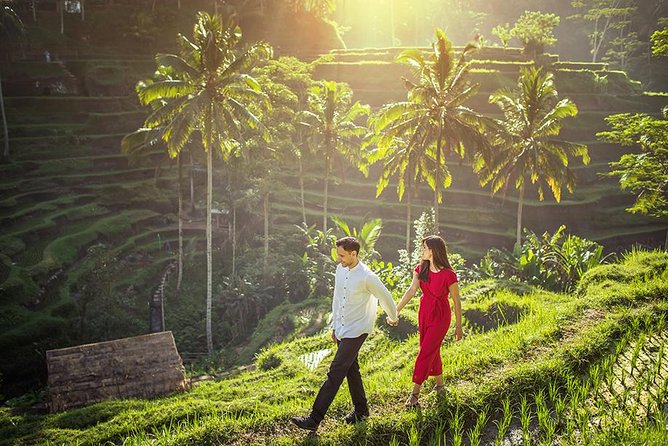 Day Trip: Ubud Monkey Forest, Rice Terrace, Temple and Waterfall - Tirta Empul Adds a Working Hindu Water Temple