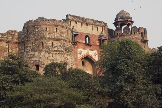 Delhi Zoo White Tigers & lions with Old Fort Visit - Key points to know before booking