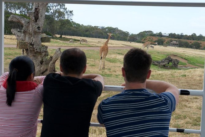Deluxe Safari Adventure at Werribee Open Range Zoo - excl. entry - Planning your time at Werribee Open Range Zoo