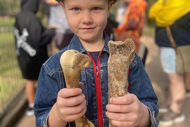 DINOSAUR and FOSSIL ZOO TOUR Rockhampton - Key points at a glance