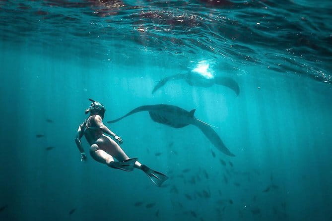 Discover Bali Best Tours: Tanah Lot, Monkey Forest, and Waterfall - Celuk and the Prapen jewelry workshop