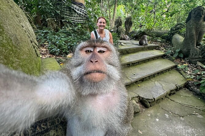 Discover Bali Best Tours: Tanah Lot, Monkey Forest, and Waterfall - Tegenungan Waterfall: a short tropical break
