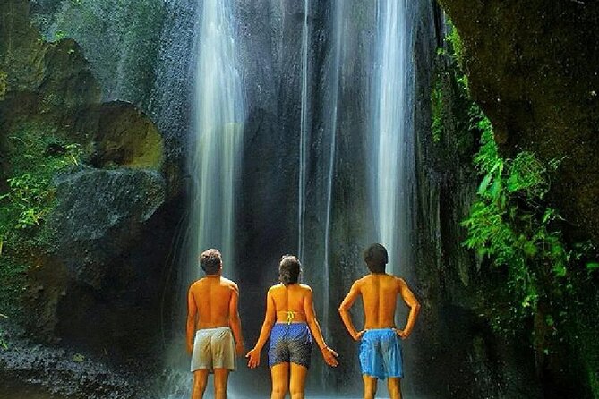 Discover the best waterfalls in Ubud and rice terraces tour - Who should book this Ubud day trip?