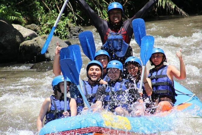 Discover Ubud Waterfall Swing Rice Terrace and Monkey Forest - Sacred Monkey Forest, temples, and macaques
