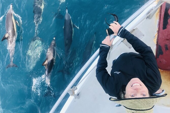 Dolphin & Wildlife Encounters - Why this Tauranga cruise is about patience, not a guaranteed dolphin show