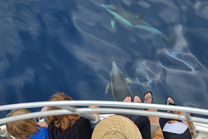 Dolphin & Wildlife Encounters - Who will get the most from this experience?