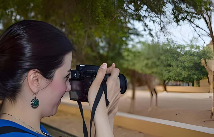 Dubai: Al Ain Garden City with Conservation Zoo - Driving to the Top of Jebel Hafeet