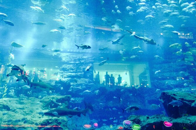Dubai Aquarium and Underwater Zoo - King Croc and the animals that break the pattern