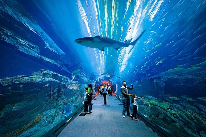 Dubai Aquarium and Underwater Zoo - The skip-the-line issue needs careful attention