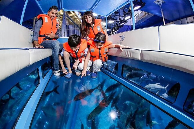 Dubai Aquarium and Underwater Zoo - Practical planning inside Dubai Mall