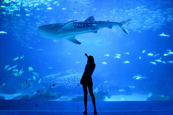 Dubai Aquarium and Underwater Zoo - Who will enjoy this most?
