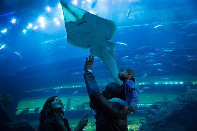 Dubai Aquarium and Underwater Zoo Admission Ticket with Options - The main attraction inside Dubai Mall